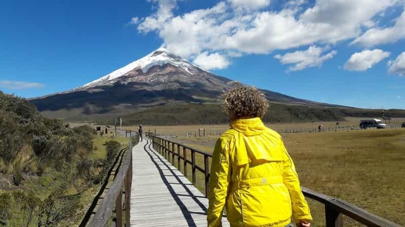 Billet Depuis Quito : Visite d'une jounée du parc national du Cotopaxi avec randonnée