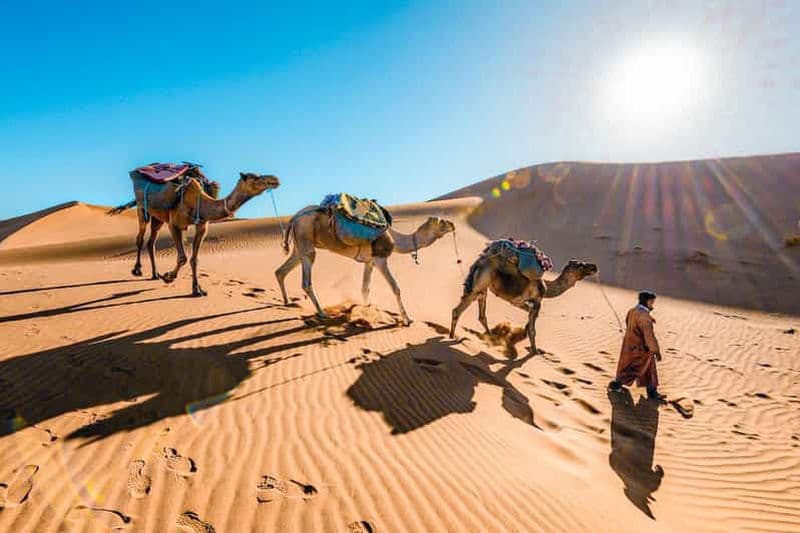 Billet De Fès à Marrakech : circuit découverte du désert du Sahara en 3 jours