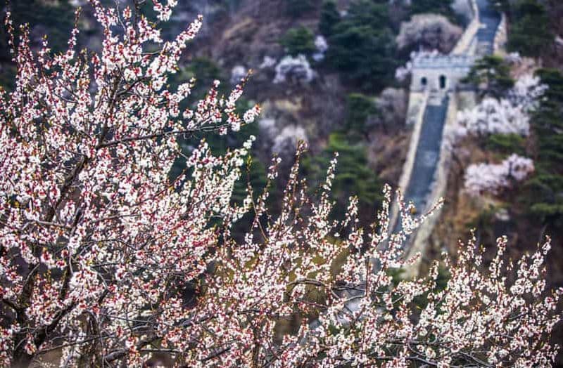 Billet Pékin : transfert privé aller-retour vers la Grande Muraille de Chine