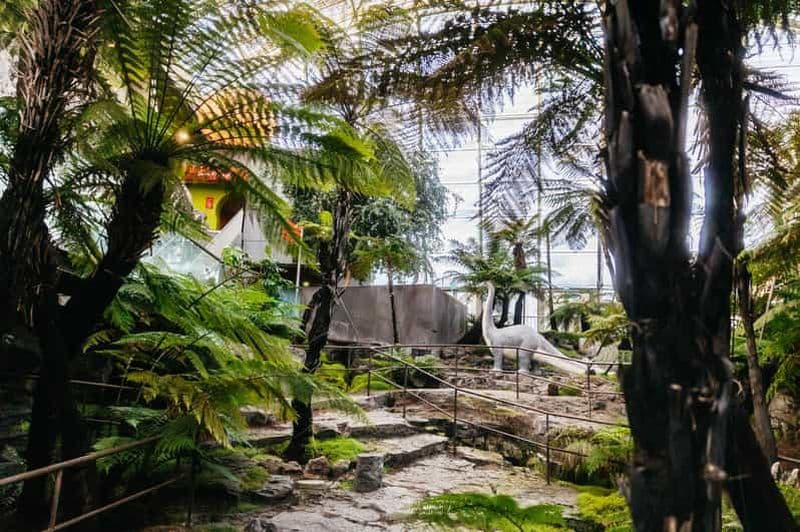 Billet Billets d'entrée au parc du volcan Vulcania