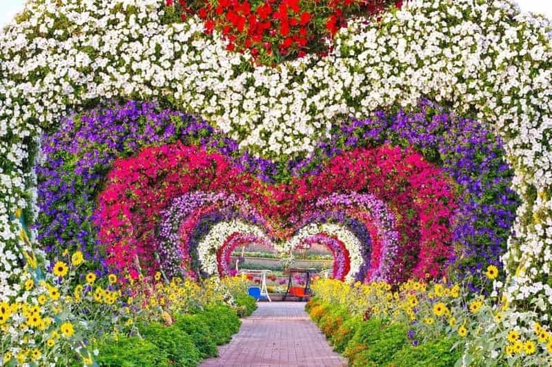 Billet Visite du Miracle Garden et du Global Village – Sélectionnez votre option