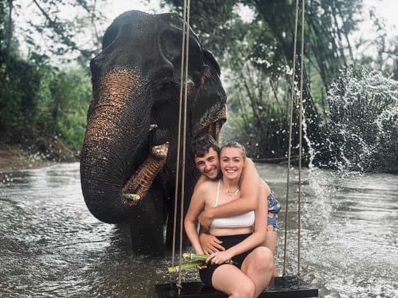 Billet Chiang Mai : sanctuaire d'éléphants et atelier de cuisine thaïlandaise