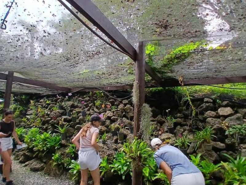 Billet FIDJI : Excursion au jardin du Géant endormi