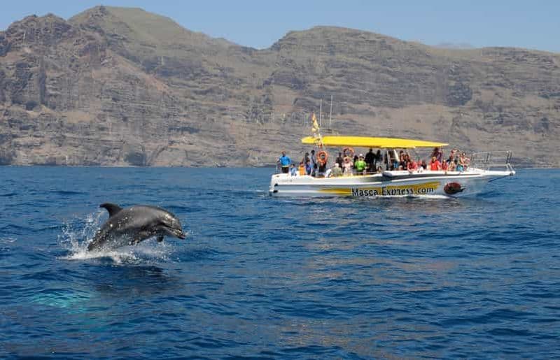 Billet Los Gigantes : Croisière d'observation des baleines et des dauphins avec arrêt baignade