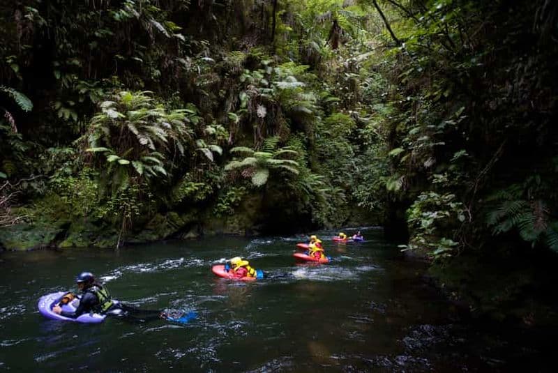 Billet Rotorua Sledging : expérience de descente en bouée sur la rivière Kaituna