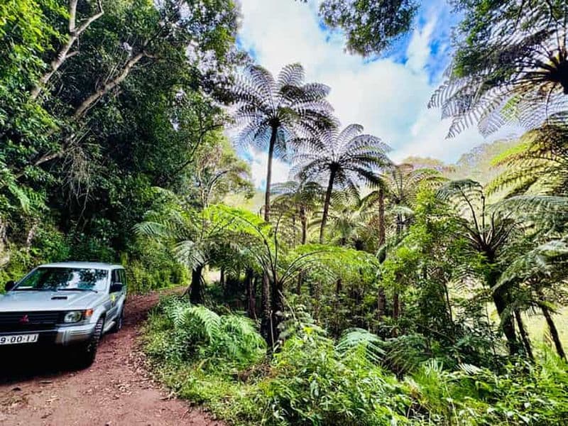 Billet Funchal : Excursion en jeep 4x4 à l'est et au nord-est de Madère