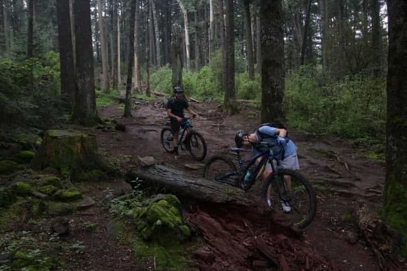 Billet Mexico : Randonnée à vélo dans le désert des Lions