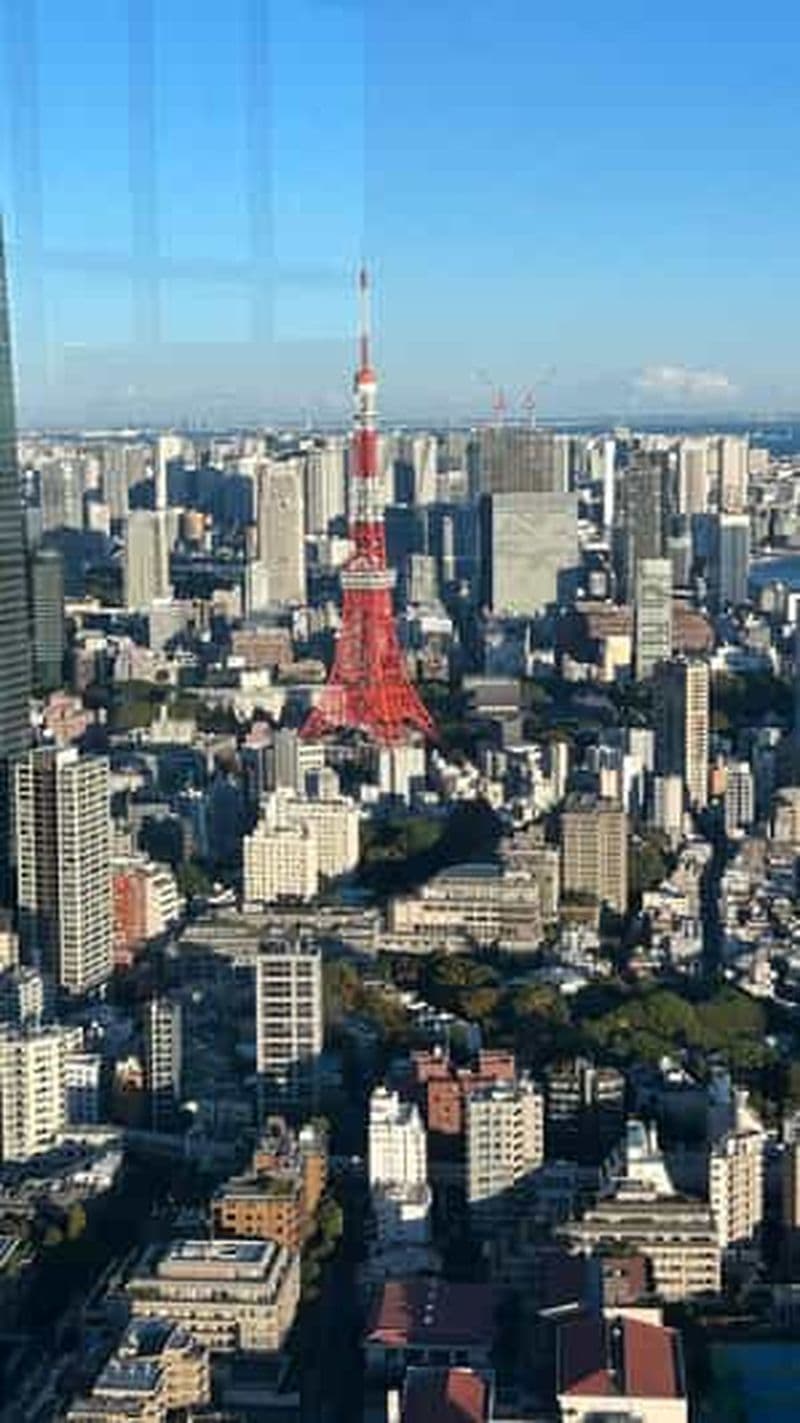 Billet Tokyo : Harajuku, sanctuaire Meiji, parc Yoyogi et coucher de soleil à Roppongi