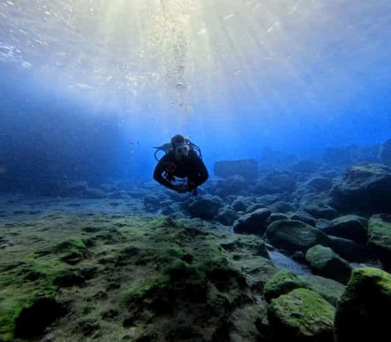 Billet Chania Scuba Diving | Fun Dives | Certified Divers