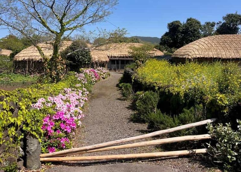 Billet Jeju : visite de l'est avec Sunrise Peak, Seongeup et vues côtières