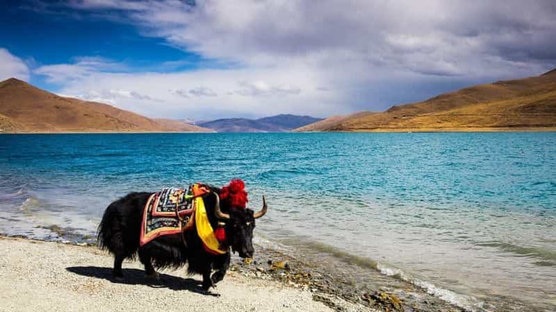 Billet Depuis Katmandou : Excursion multijours au Tibet