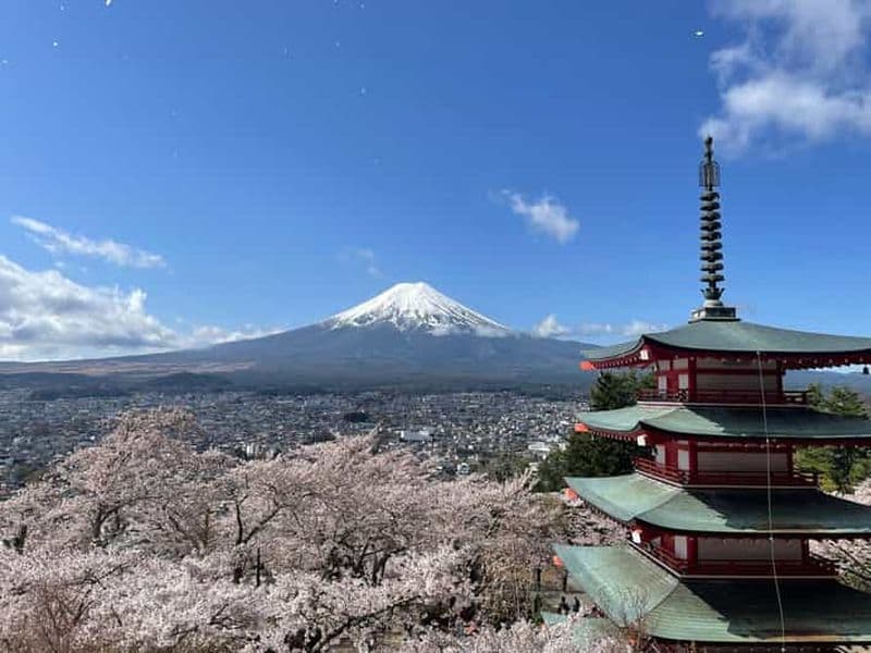Billet Tokyo : Mont Fuji, croisière sur le lac et préparation de nouilles