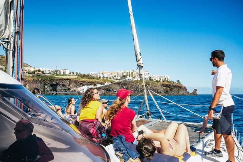 Billet Funchal : Observation des dauphins et des baleines en catamaran de luxe