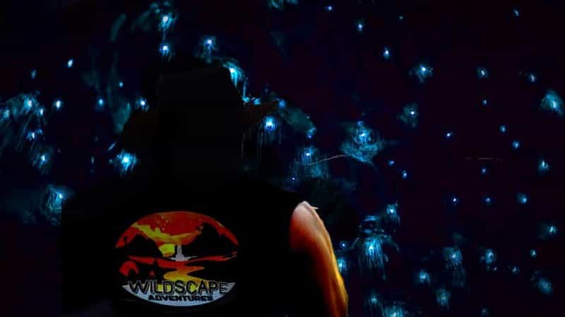 Billet Sydney : Blue Mountains Glow Worms Wild Adventure by Night (Aventure nocturne des vers luisants)