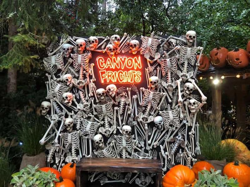 Billet CANYON FRIGHTS + Pont suspendu de Capilano / Petit groupe / VOITURE