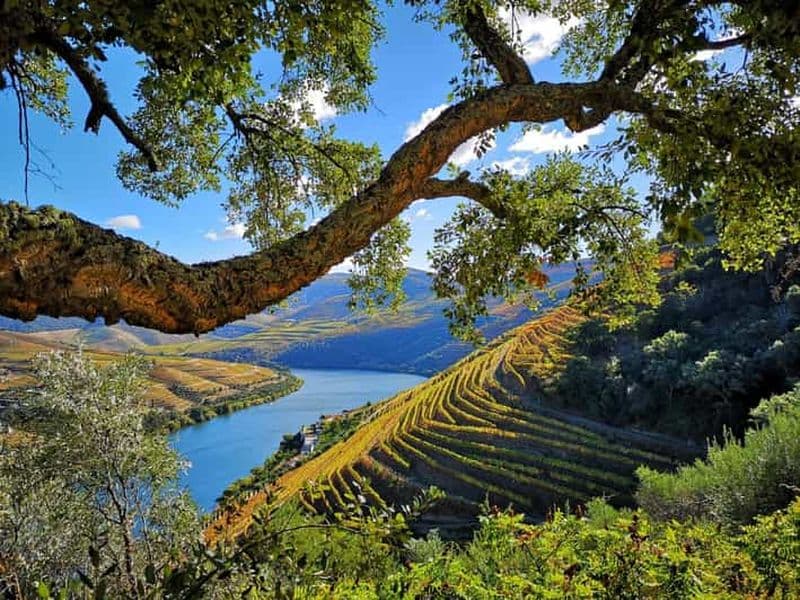 Billet Depuis Pinhão : Tour en bateau de la vallée du Douro avec dégustation de vin