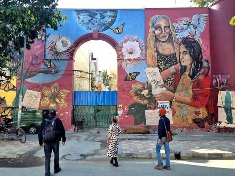 Billet Delhi Street Art Tour : Explorez les peintures murales et visitez un puits d'escalier