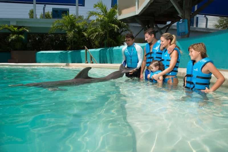 Billet Cancún : billet pour l'aquarium interactif et nage avec les dauphins