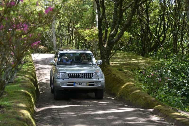 Billet Ponta Delgada : Excursion d'une demi-journée en 4x4 à Sete Cidades
