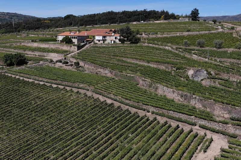 Billet Lamego : Visite et dégustation du vignoble Quinta da Portela de Baixo