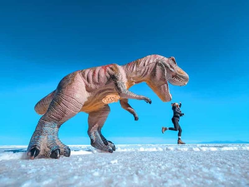 Billet Au départ de La Paz : circuit dans le désert de sel d'Uyuni et bus aller-retour avec nuitée