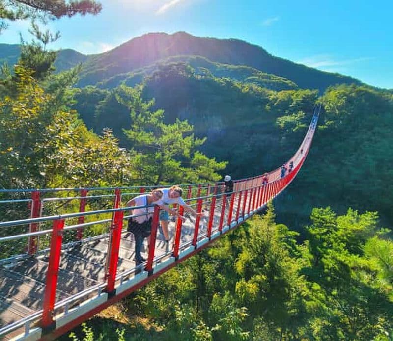 Billet Séoul : DMZ, 3e tunnel et pont suspendu (en option)