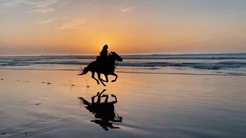 Billet Agadir et Taghazout : 2 heures d'équitation guidée sur la plage