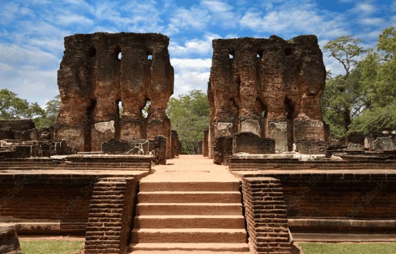 Billet Ancienne ville de Polonnaruwa et safari animalier au départ de Dambulla