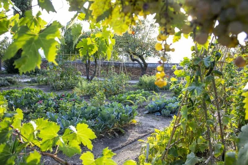 Billet Recanati : Orto sul colle dell'infinito Billet d'entrée