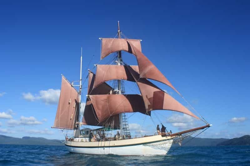 Billet Sydney : Sydney Harbour Tall Ship Whale Watching & Sailing (observation des baleines et navigation)