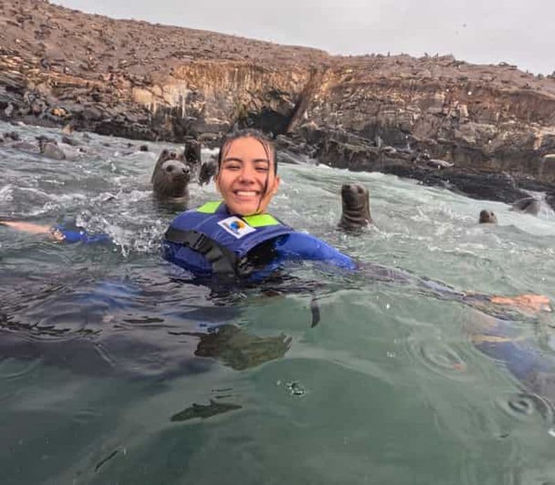 Billet Depuis Lima : îles Palomino, nage avec les otaries et excursion en yacht