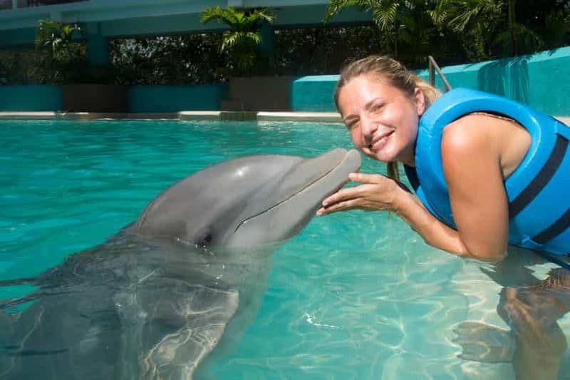 Billet Cancún : Aquarium interactif - Nagez avec les dauphins Splash