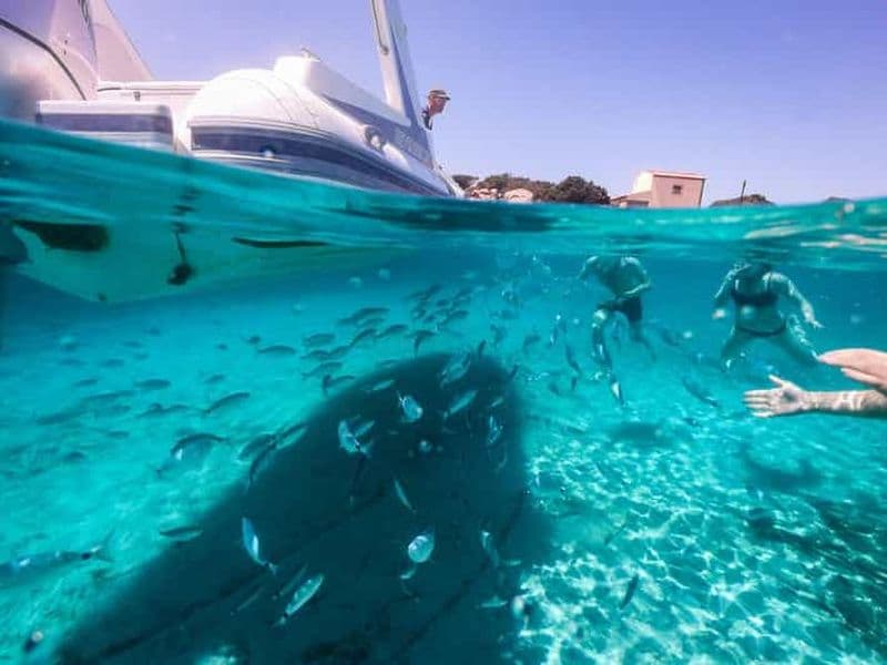 Billet Visite d'une demi-journée en bateau et plongée en apnée à La Maddalena
