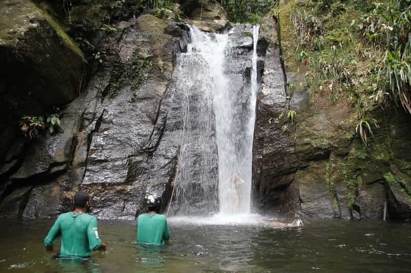 Billet Rio : Circuit de la forêt de Tijuca et des chutes d'eau de Horto