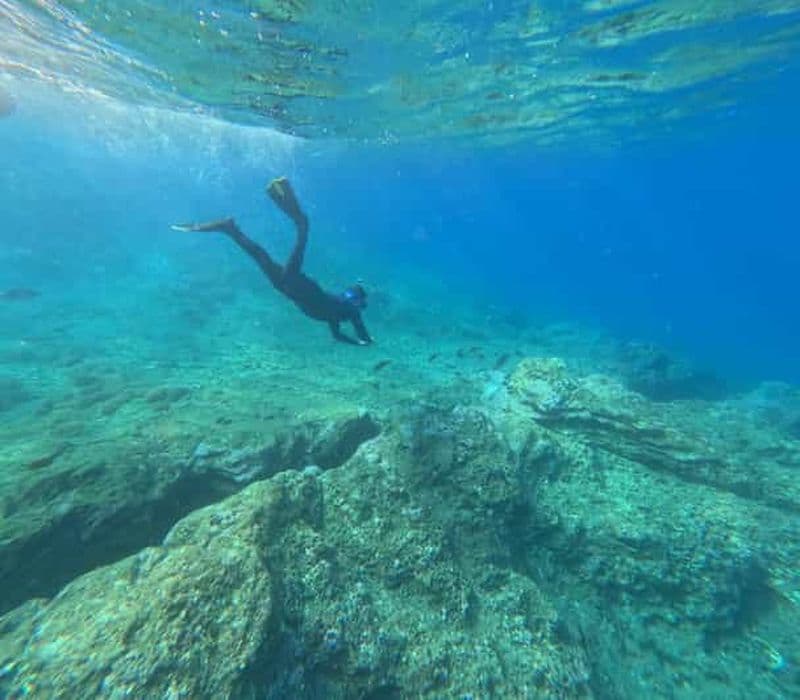 Billet Excursion de plongée en apnée - Vila Franca do Campo Islet