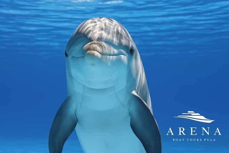 Billet Pula : Observation des dauphins à Brijuni, croisière au coucher du soleil, dîner et boissons