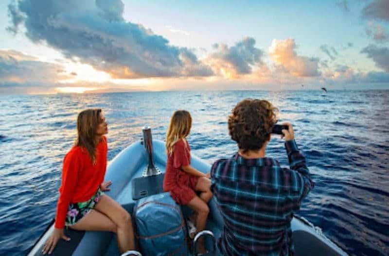 Billet Excursion au coucher du soleil + observation des dauphins et des baleines - bateau rapide