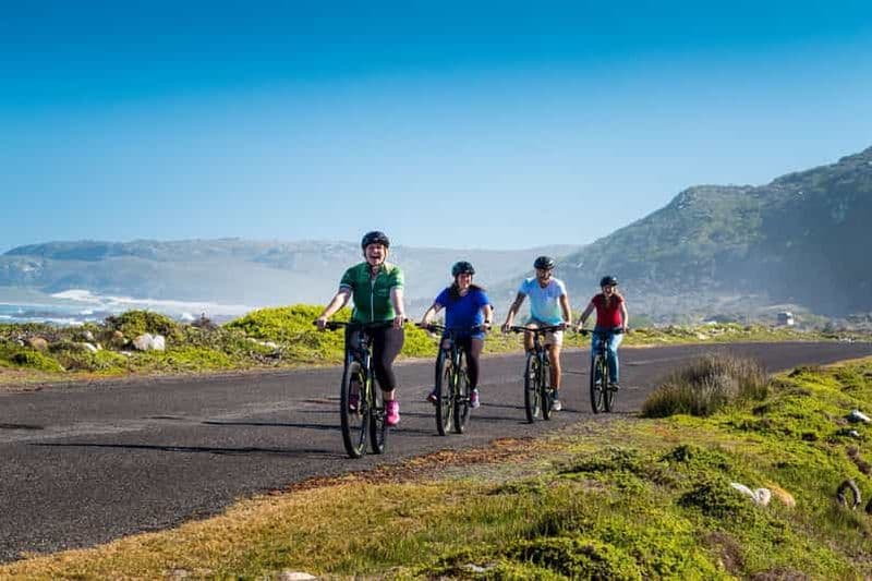 Billet Le Cap : visite guidée privée à vélo de 9 heures à Cape Point