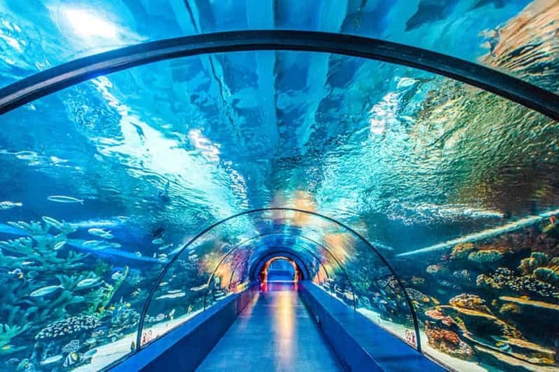 Billet Depuis Antalya Toute la région : Aquarium d'Antalya avec transfert