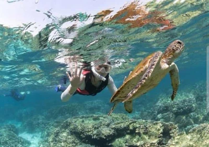 Billet Mascate : excursion de snorkeling aux îles Daymaniyat et déjeuner barbecue