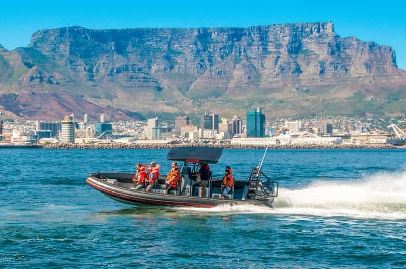 Billet Cape Town Ocean Safari : Aventure en bateau rapide dans la baie de la Table