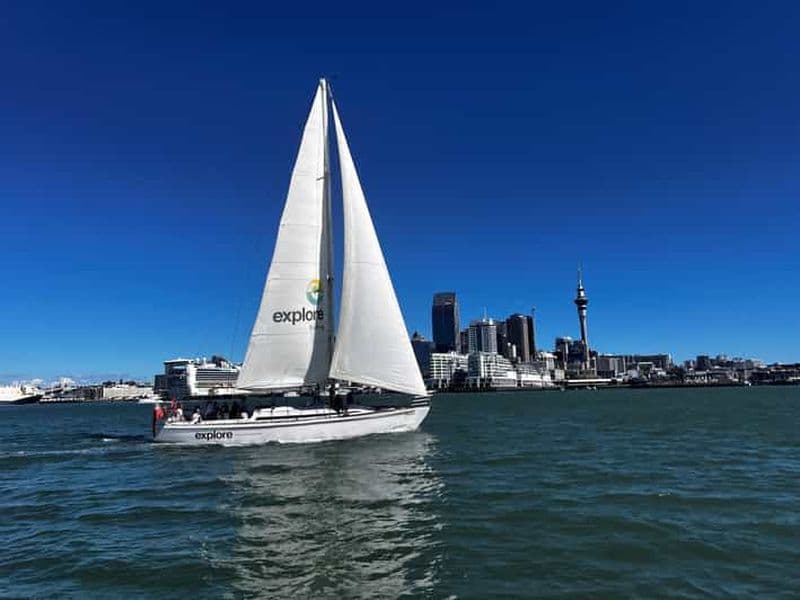 Billet Croisière d'une heure et demie dans le port d'Auckland