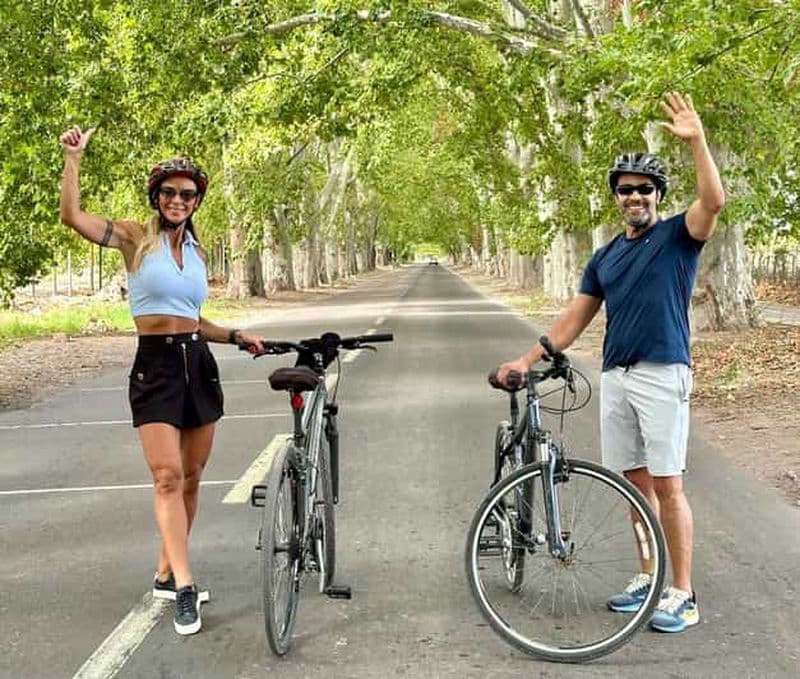 Billet Mendoza : visite œnologique et balade à vélo dans les vignobles au pied des Andes