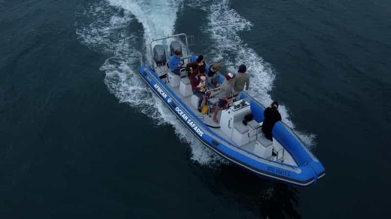 Billet Le Cap : safari guidé par un biologiste marin - V&A Waterfront