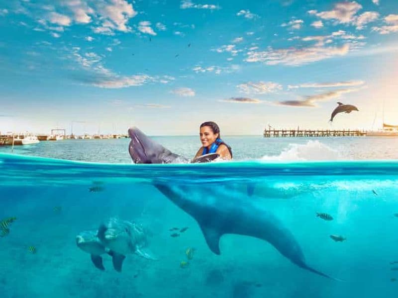Billet NAGE AVEC LES DAUPHINS À L'ÎLE DE MUJERES