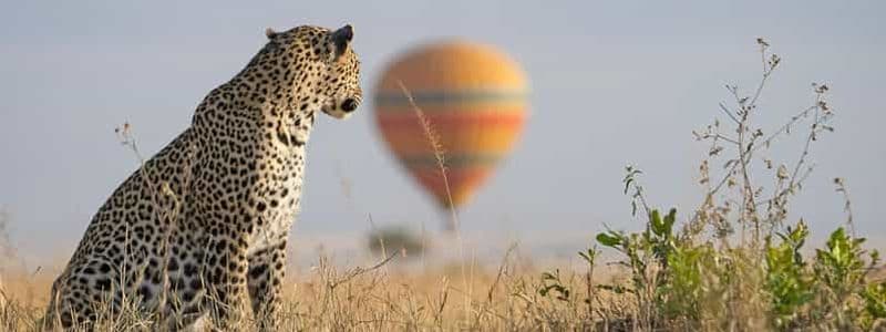 Billet Depuis Nairobi : safari de groupe de 3 jours et 2 nuits à Masai Mara en 4x4