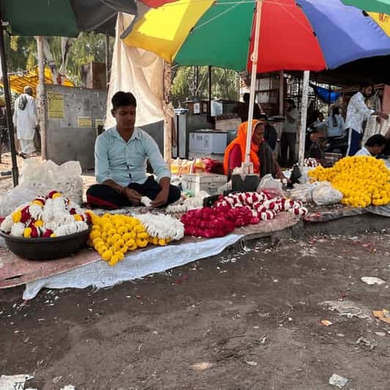 Billet Jaipur : visite matinale en tuk-tuk, vie locale et vieille ville