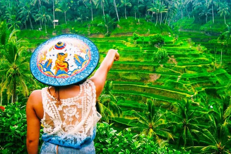 Billet Ubud : cascade, rizières en terrasses et forêt des singes - visite privée