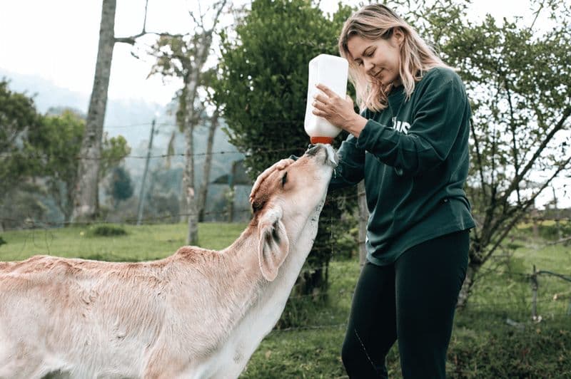 Billet Depuis Medellín : promenade à cheval dans une finca centenaire