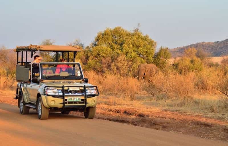 Billet Safari partagé d'une journée complète à Pilanesberg avec visite de Sun City